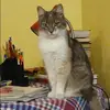 Отзыв от Ольга Шаповалова